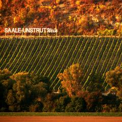 Weinberge bei Bad Kösen ©Stadt Naumburg