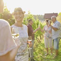 Weinbergsführung mit Weinprobe ©Winzervereinigung Freyburg/Unstrut