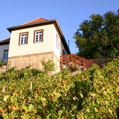 Ferienhaus im Weinberg