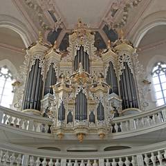 Blütenparadies in Bad Dürrenberg - Kulturgenuss in der Domstadt Naumburg  ©Stadt Naumburg